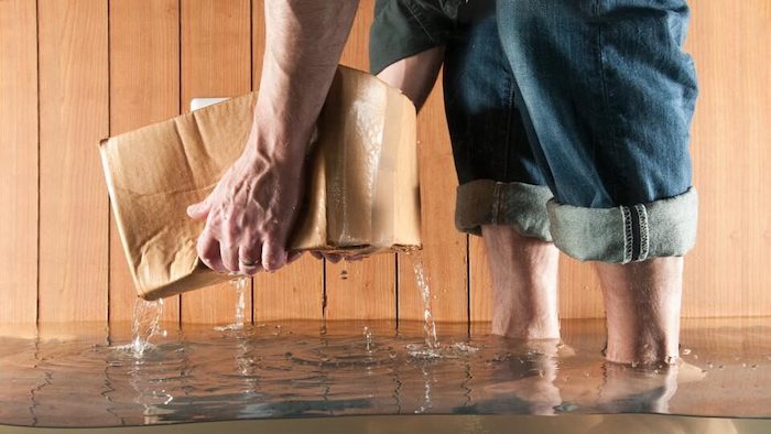 flood insurance for basement