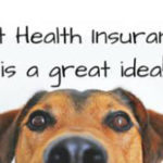 Protect Your Pet’s Health and Your Wallet: The Benefits of Pet Health Insurance