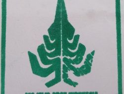 Indonesia’s Customary Council Pushes for Greater Representation of Traditional Leaders and Professions in State System