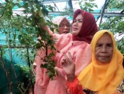 KPPG Bekasi Regency Boosts Food Security and Women’s Economy Through Crop Planting Movement and MSME Empowerment