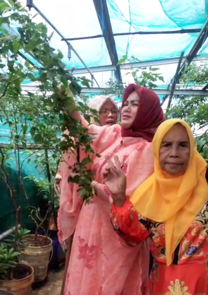 KPPG Bekasi Regency Boosts Food Security and Women’s Economy Through Crop Planting Movement and MSME Empowerment