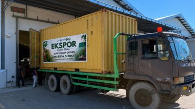 PEMA Conducts Second Export of Gayo Arabica Coffee to the United States